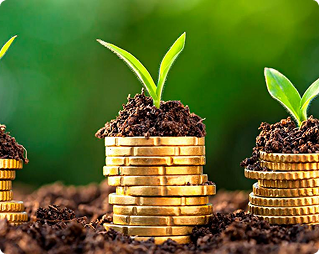 Projetos de Investimento Agrícola