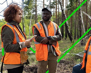 Planeamento e Gestão Florestal